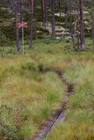 A way disappearing in a wet bog in sweden. The red cross marks a ski trail in winter time. photo