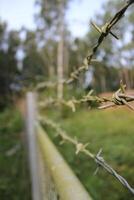 Old fence with barbed wire. photo