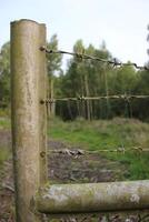 Old fence with barbed wires photo