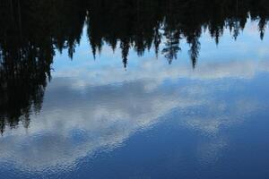 Reflections of the forest on Swedish lake in Vaermland. photo