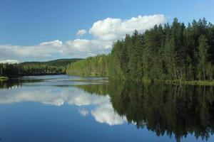 Reflections of the forest on a Swedish lake in Varmland. photo