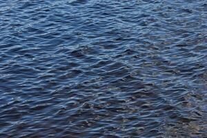 Reflections on a Swedish lake. photo