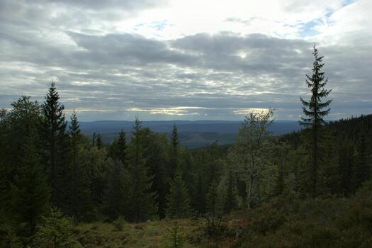 View from the mountain hastskar in Varmland, Sweden. photo