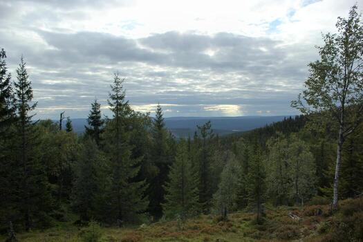 View from mountain hastskar in Varmland, Sweden. photo
