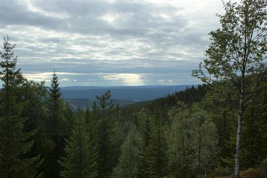 View from the mountain hastskar in Varmland, Sweden photo