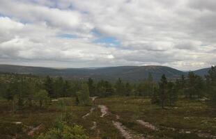 View from Stornaerfjaellet with ski trail near Saelen, Sweden. The Image was created using a HDR imaging technique. photo