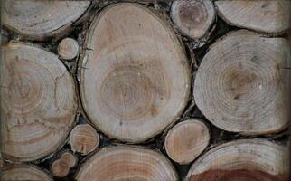 Background of wooden logs in sun photo