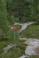 Marked swedish ski trail in summer with rocks. photo