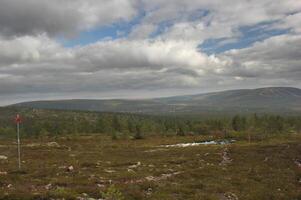 Marked swedish ski trail in summer with rocks. The image shows a lake on Naerfjaellet, Dalarna. photo