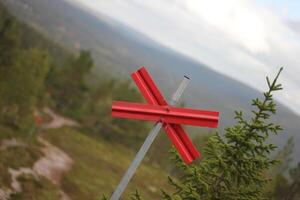 Ski trail marking in Sweden at unusal angle. photo