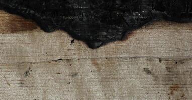 Macro of partially charred wood. photo