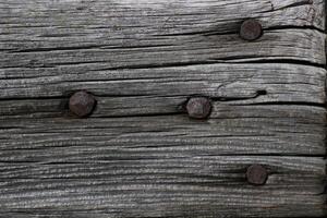 Wooden lath with rusty nails. photo