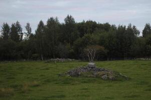 Viking stone graves at Soelleroen, Dalarna, Sweden. photo
