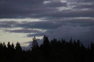 Heavy clouds over a tree silhouette. photo