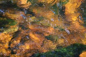 Look in the water of a stony river. photo