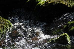 Spraying water in a stream. photo