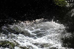 Spraying water in a wild stream photo