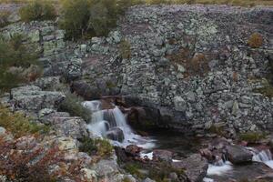 Rapids at top of the Njupeskaer waterfall in the Fulufjaellet National Park in Dalarna, Sweden. The image was shot with long exposure resulting in smooth water. photo
