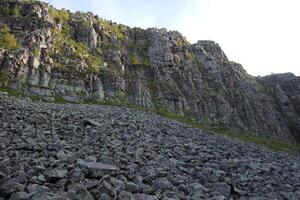 Gravel slope with growing trees in Sweden photo