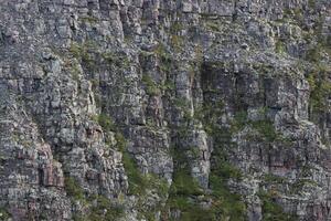 Rock cliff with growing plants. photo