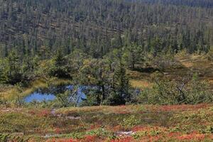 Small mountain lake at Hoegfjallet near Salen, Dalarna, Sweden. photo