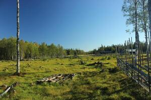 Panoramic view over meadow of alpine dairy in Dalarna, Sweden. photo