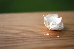 Chicken eggshell on a table. photo
