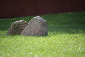 Two big rocks on a lawn. photo