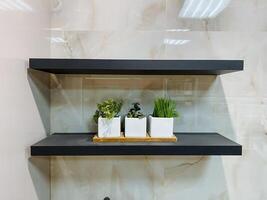 In a cozy bathroom, there are two shelves that are adorned with various potted plants, adding a touch of greenery and life to the space. Its a delightful sight to behold photo