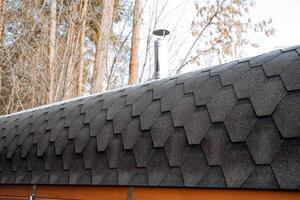 This particular black roof showcases a chimney, which is strategically placed atop, serving both practical purposes and enhancing the visual attractiveness of the entire structure photo