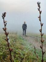 A man is standing in a vast open field with a delicate spider web prominently visible in the foreground, creating a captivating scene of natures beauty and intricate detail photo