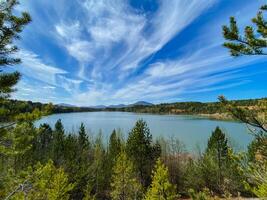 A tranquil lake surrounded by a lush expanse of trees on a bright and sunny day, creating a beautiful and peaceful natural setting that invites relaxation and admiration of natures wonders photo