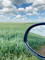 The rear view mirror captures the road behind me and beautifully reflects a stunning field filled with vibrant green grass and fluffy white clouds hovering in a calm, serene blue sky photo
