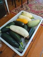 A tray that is beautifully filled with a variety of different types of zucchini and squash, showcasing their diverse shapes and colors, ready to be cooked or used in culinary dishes photo