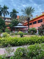 A very large orange colored building features several palm trees positioned in front of it, creating a vibrant and eyecatching urban landscape that is both beautiful and inviting photo