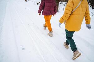 A group of people is walking leisurely through the thick snow, enjoying the winter scenery all around them, bundled up in warm jackets and trousers, making the most of this freezing weather photo