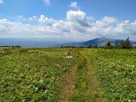 A serene mountain pathway winds through lush, vibrant greenery, all under a bright blue sky, inviting peaceful exploration and adventure photo