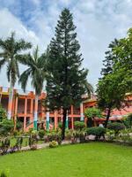 A majestic pine tree towers in a park in front of an architectural building, surrounded by lush greenery that enhances the areas beauty, creating a picturesque, serene environment photo