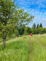A person, dressed in a bright red jacket, is leisurely strolling through a vibrant, lush grassy field, savoring and delighting in the beautiful natural surroundings enveloping them photo