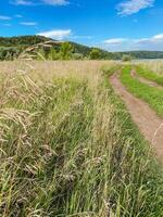 A narrow dirt road meanders through a vibrant field filled with lush, tall grass that sways gently in the wind, creating a beautiful natural landscape to explore and enjoy photo