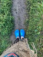 A person is standing confidently on a winding dirt path, sporting bright blue crocs that completely contrast with the earthy surroundings, which consist of grass and scattered leaves photo