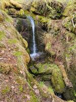 In this serene setting, a small enchanting waterfall cascades down rugged rocks, surrounded by vibrant moss and towering boulders, creating a picturesque scene in the lush woods photo