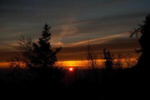 Sunset with silhouetted trees and a glowing sun in the background photo