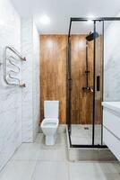 The bathroom consists of essential elements including a toilet, sink, and shower, all of which combine to create a functional space dedicated to personal hygiene and daily routines photo