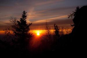A Sunset With Trees In The Foreground And The Sun In The Background photo