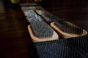 A long row of various wire brushes is neatly arranged on top of a sturdy wooden table, creating an interesting visual display that showcases essential tools for artists or musicians photo