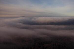 An aerial view of a cloudy sky over a forest photo
