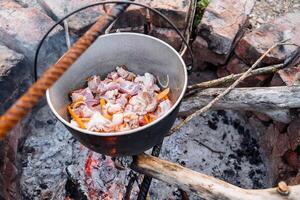 Gather your friends and family for an enjoyable outdoor cookout, featuring mouthwatering meats and fresh veggies prepared in a classic pot photo