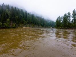 A picturesque river, gently flowing and fully surrounded by lush green trees, is beautifully set against the backdrop of a cloudy day, creating a serene natural landscape to admire photo