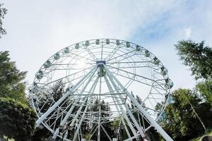 In the heart of the park, there is a large ferris wheel surrounded by green trees. This setting combines nature, fun, and relaxation in a perfect blend of amusement and natural beauty photo